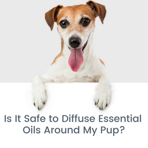 Is it Safe to Diffuse Essential Oils Around My Pup?