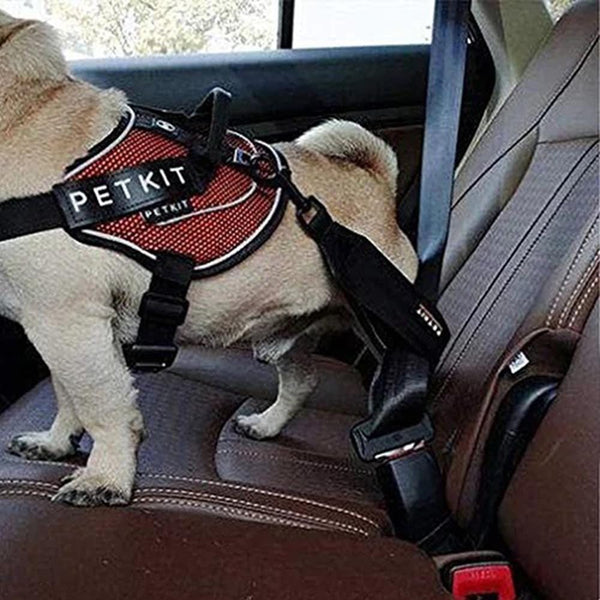 Instachew PETKIT Pet Safety Belt