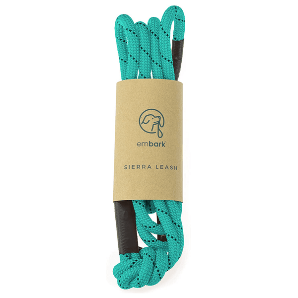 Turquoise Adventures Rope Dog Leash